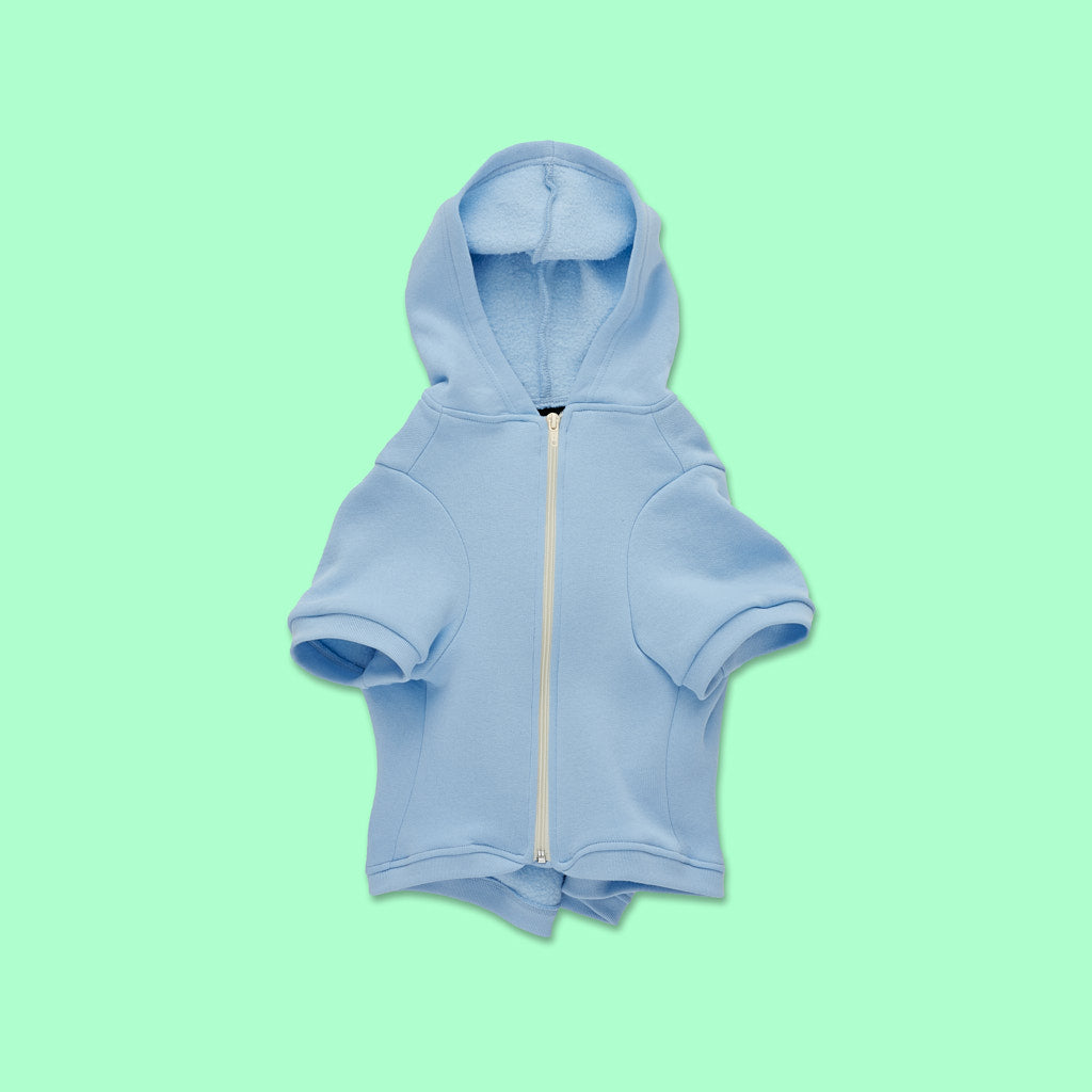 Dog Hoodie