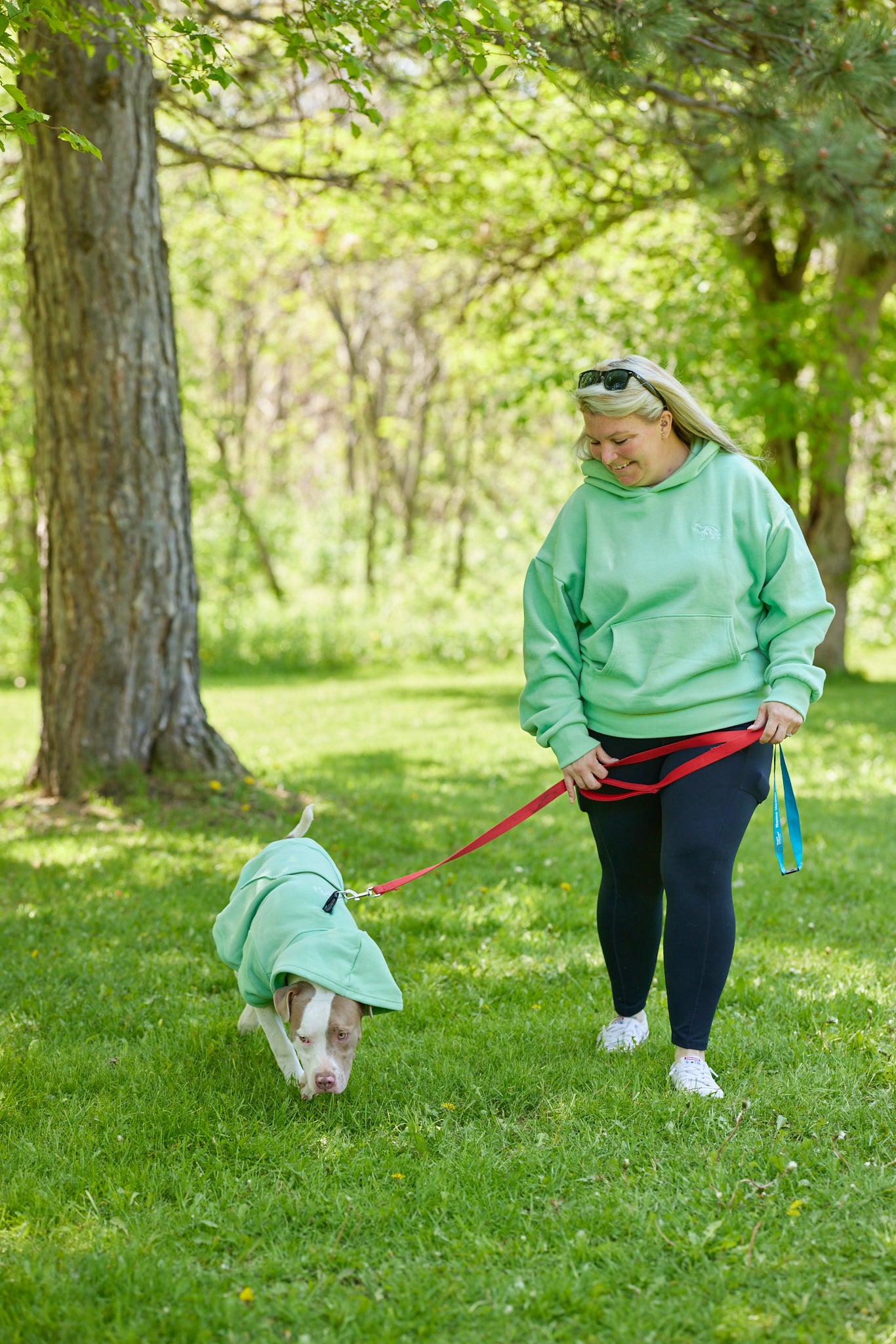 Dog Hoodie